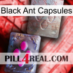 Black Ant Capsules 38